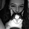 cat_attack96